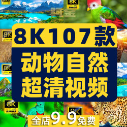 8K动物自然人物超清风光风景素材演示片电视投影仪高清航拍短视频