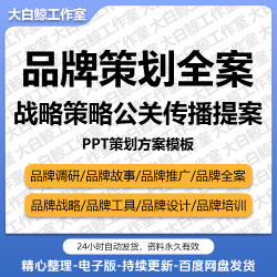 2024精选品牌战略策略公关传播提案运营定位文案PPT策划方案模板