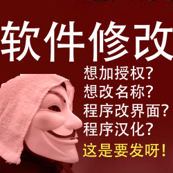 改程序软件界面修改标题名字exe版权图标授权机器码去除加密添加