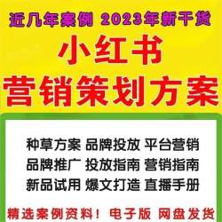 4A广告公司小红书达人策略UP博主品牌全案传播营销策划PPT方案例
