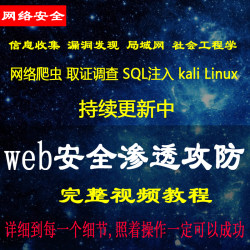 web网络安全攻防metasploit漏洞挖掘Kali Linux测试视频教程F020