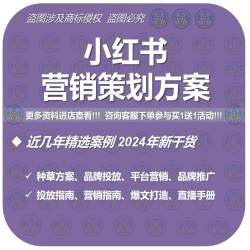 4A广告公司小红书达人策略UP博主品牌全案传播营销策划PPT方案例