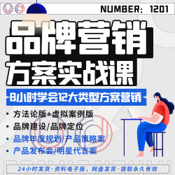 品牌产品营销方案实战课程12大类型方案营销企划方案策划文案视频