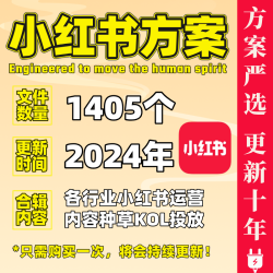 内容种草投放KOL规划爆品文案营销新媒体策划运营广告创意方案