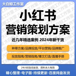 4A广告公司小红书达人策略UP博主品牌全案传播营销策划PPT方案例