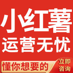 小红xhs书推运营广涨达人笔记文章种草合作发 内容策划品牌营销