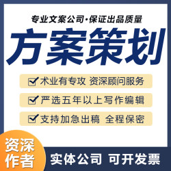 代写方案活动推广策划书运营设计合作计划项目简介营销方案做ppt