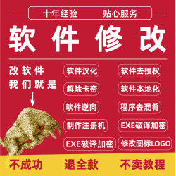 软件修改图标logo卡密破译去授权码网络验证程序逆向exe加密脱壳