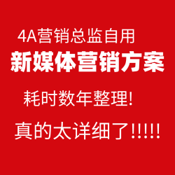 新媒体品牌营销策划方案内容传播运营推广宣传规划计划书ppt全套