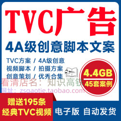 TVC广告4A创意拍摄脚本分镜大牌电视宣传片文案营销策划PPT提案