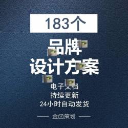 品牌设计包装VI视觉识别LOGO升级建设4A广告营销策划PPT模板方案