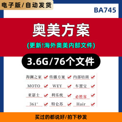 2023精选奥美策划方案4A广告公司品牌PPT传播策略营销推广全案