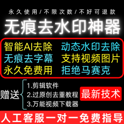视频去水印软件无痕消除文字人工AI去除视频图片水印去字幕工具