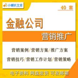 金融公司服务营销营销推广战略策划书网络推广营销技巧工作计划