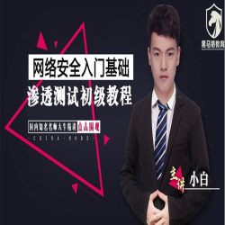 网络安全，web安全渗透从入门到精通0基础课程
