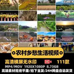 农村生活景象视频背景怀念怀旧家乡农民工劳作种庄稼短视频素材