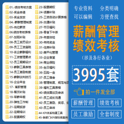 绩效考核与薪酬管理方案公司制度体系设计奖金薪资激励员工word范