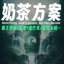 奶茶网红饮品门店推广开业活动策划营销策略品牌手册新媒体方案