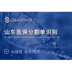 （替代70%人力成本，调试简便）医保分割单识别API-结算单OCR识别-深源恒际科技有限公司