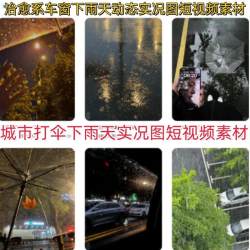 竖屏汽车开车窗外城市夜晚夜景行驶风景实拍高清情感伤短视频素材