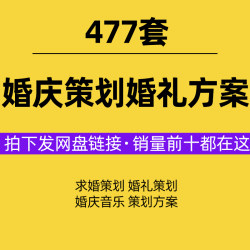 婚庆策划婚礼方案酒店主题策划书设计主持人司仪台词word资料素材