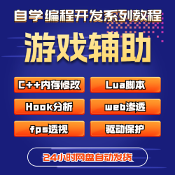 游戏逆向教程fps辅助课程pc端安全C语言C++编程开发2024年易语言