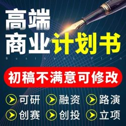 商业计划书撰写代做可行性研究报告项目立项方案策划创业融资PPT