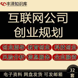 互联网冰点网络信息服务农业电子商务科技公司融资商业创业计划书