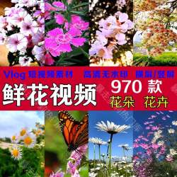 鲜花花朵花卉竖屏短视频自然风景高清抖音快手热门自媒体素材视频