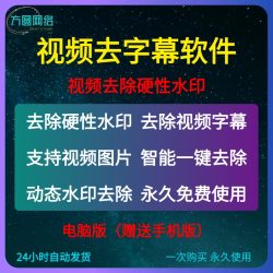 视频去字幕软件AI人工去除视频图片水印无痕消除文字去除物体工具