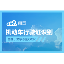 翔云-机动车行驶证识别API【图像、文字识别OCR】