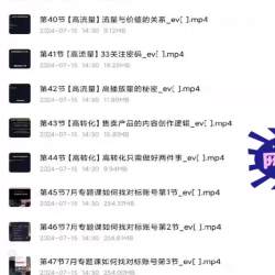 干饭人伊伊莫大虾短视频差异化双IP策划课2023课程教程