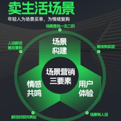 品牌搭建流程 品牌定位全案运营新模式品牌营销SOP设计策划方法论
