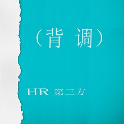 员工入职材料咨询个人账单材料申请公司工资账单报表加厚薪资明细