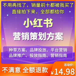 4A广告公司小红书达人策略UP博主品牌全案传播营销策划PPT方案例