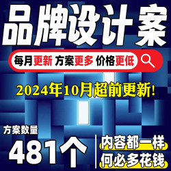 4A品牌设计视觉营销LOGO提报VI全案市场策划PPT方案模板