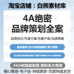 2024品牌策划案4A广告公司创意全案年度创意营销规划方案宣传策略