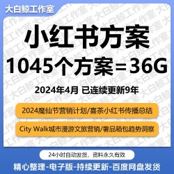 2024新品4A广告小红书达人策略博主品牌全案传播营销策划PPT方案