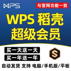 wps超级会员永久稻壳会员wps会员一日一年ppt编辑器模板1天月vip翻译合并文档拆分修复金山pdf转word会员4