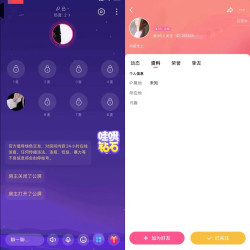 tt语音k录屏hello语音k录屏锁房录屏