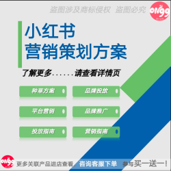 4A广告公司小红书达人策略UP博主品牌全案传播营销策划PPT方案例