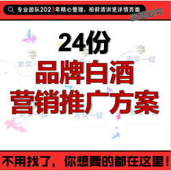白酒品牌营销策划案4A广告策略全案酒类快消品牌升级包装促销方案