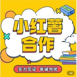 小红薯书xhs推广运营笔记内容策划合作原创设计热门作品流量服务