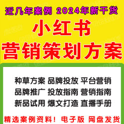 4A广告公司小红书达人策略UP博主品牌全案传播营销策划PPT方案例