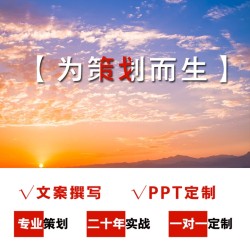 PPT定制设计PPT策划PPT制作方案策划文案策划内容策划