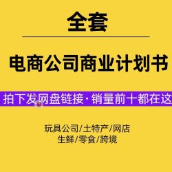 电商公司商业计划书ppt模板创业方案网店规划营销策划战略word版