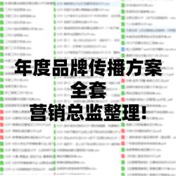 年度品牌营销策划内容宣传推广活动战略规划传播4a广告方案计划