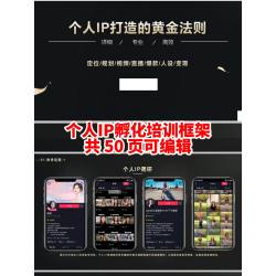 个人品牌孵化运营流程人设文案策划短视频 IP打造培训框架课件