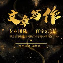 文章撰写代写述职报告工作总结汇报方案剧本文案策划代笔写作服务