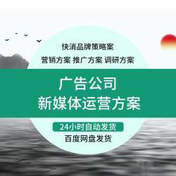 新媒体营销策划案4A广告公司创意活动方案提文案例快消品牌运营